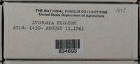 Image Associated With the Occurence